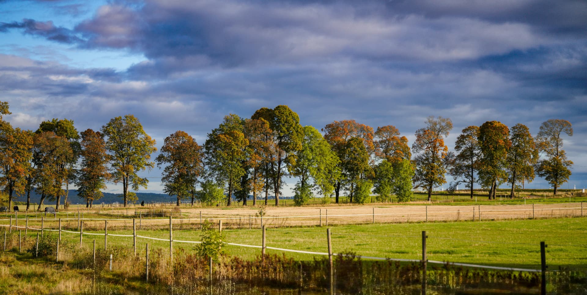 Fenced rural acreage with a tree line under an open sky